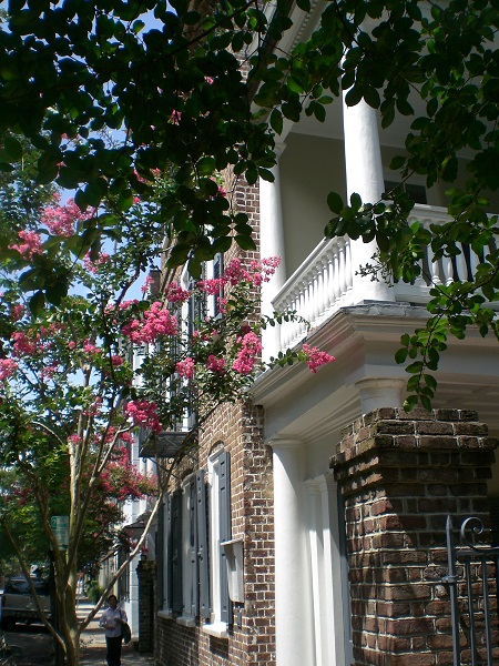 foreground: overhanging leaves; midground: buildings in white-painted wood and brick and a street-side bush with pink flowers